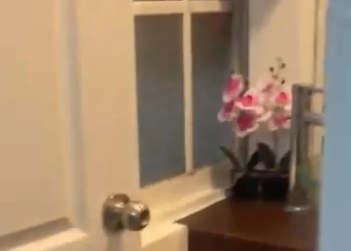#2 Appartement Mexico